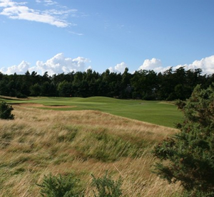 Frilford Heath Red